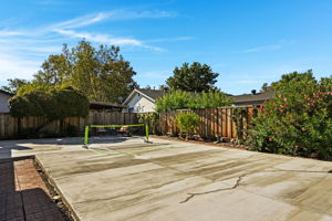 Low Maintenance Yards