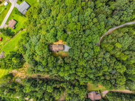 277-Debbies-Branch-Dr-Old-Fort-NC-45