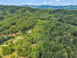 277-Debbies-Branch-Dr-Old-Fort-NC-46