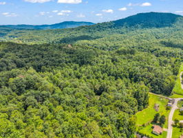 277-Debbies-Branch-Dr-Old-Fort-NC-50