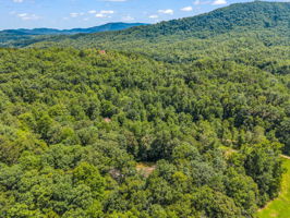 277-Debbies-Branch-Dr-Old-Fort-NC-59