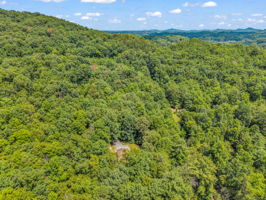277-Debbies-Branch-Dr-Old-Fort-NC-60