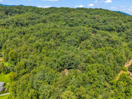 277-Debbies-Branch-Dr-Old-Fort-NC-61
