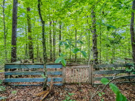 277-Debbies-Branch-Dr-Old-Fort-NC-08