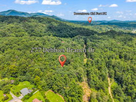 277-Debbies-Branch-Dr-Old-Fort-NC-42