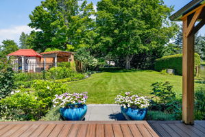  Photo 52