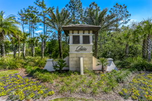 The Palms at Nocatee