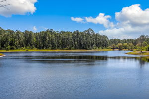 The Palms at Nocatee