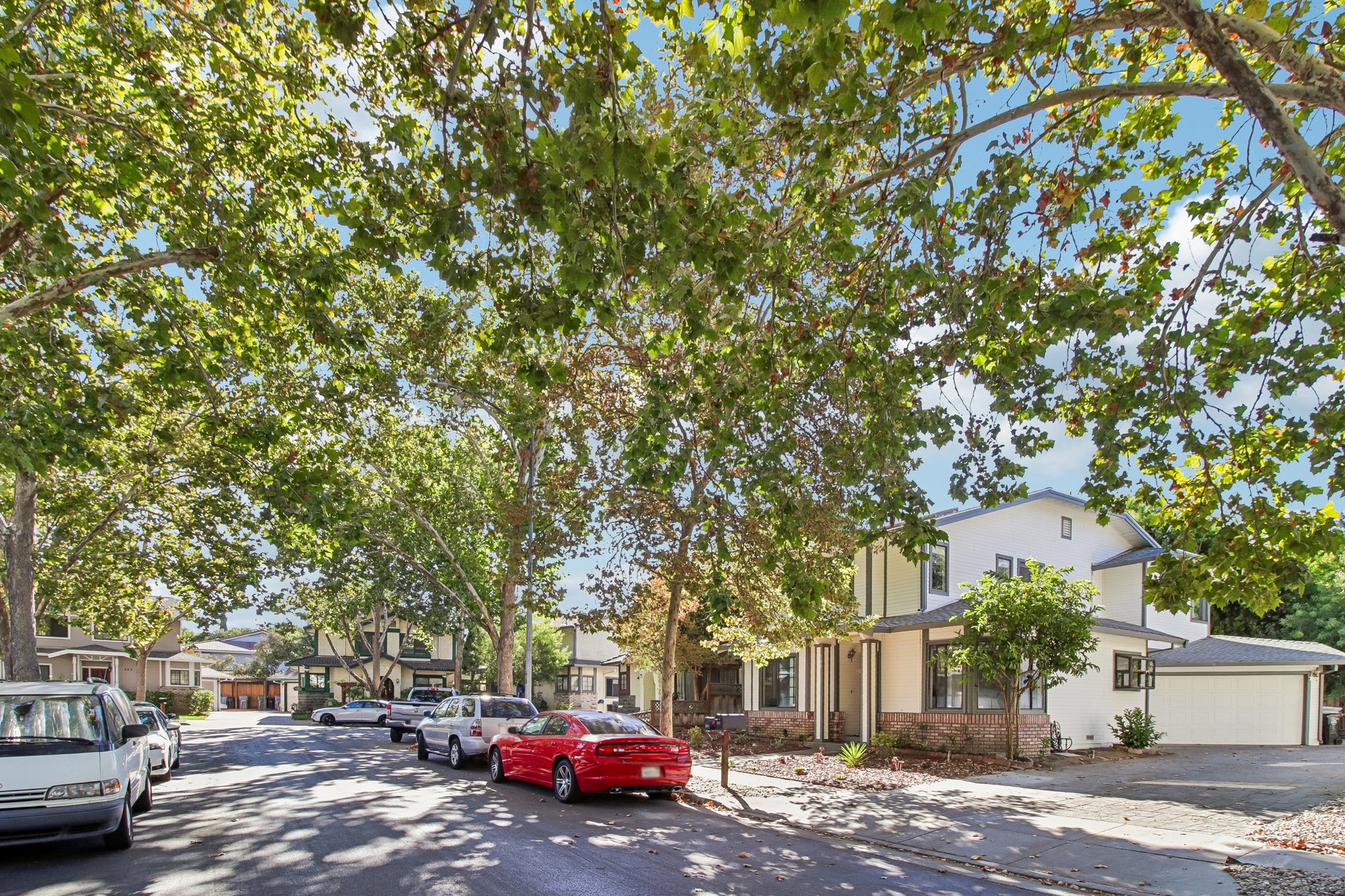 Snell Ct-S0409-001.jpg
