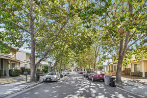 Snell Ct-S0409-002.jpg