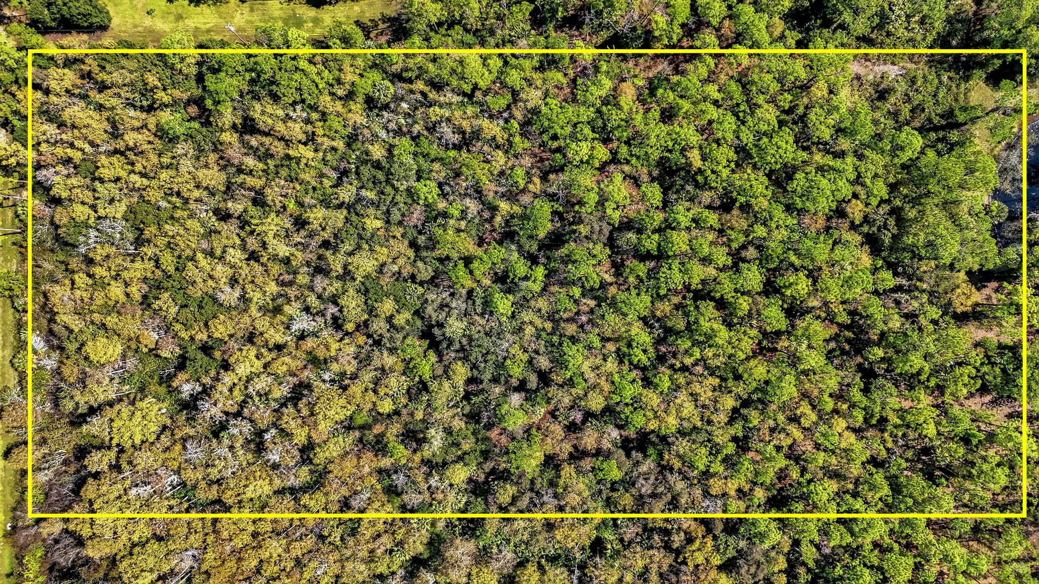 Aerial 10 - Lot Lines