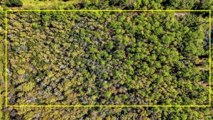 Aerial 10 - Lot Lines