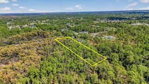 Aerial 11 -Lot Lines