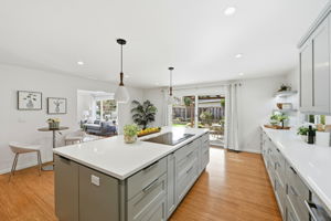 Induction cooktop with downdraft vent