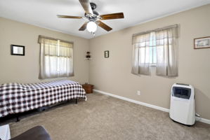  Photo 21