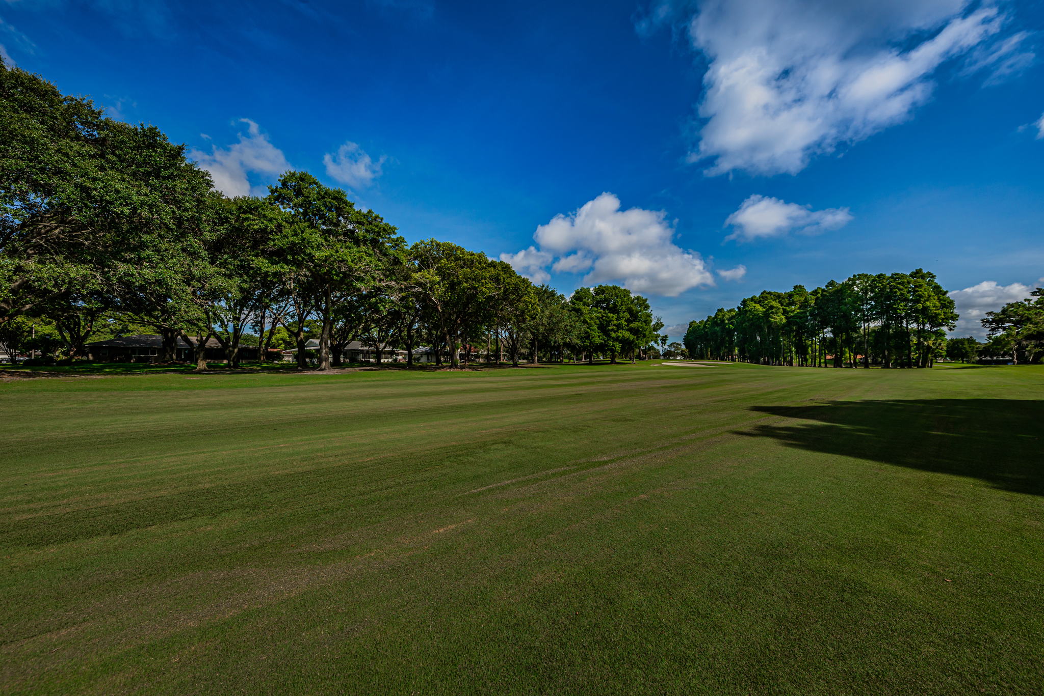 Golf Course and Rear Exterior