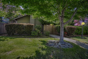  Photo 0