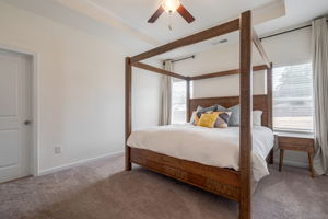 Primary Bedroom with Trey Ceiling
