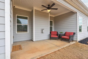 Covered Back Patio