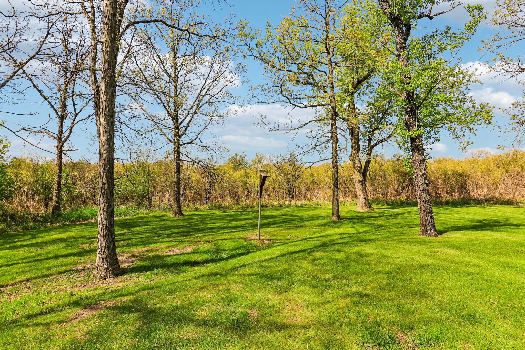 W Flynn Creek Dr-S0905-043.jpg