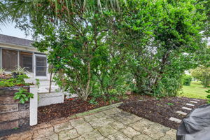 Private Rear Yard with Mature Landscaping