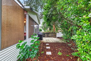Private Rear Yard with Mature Landscaping