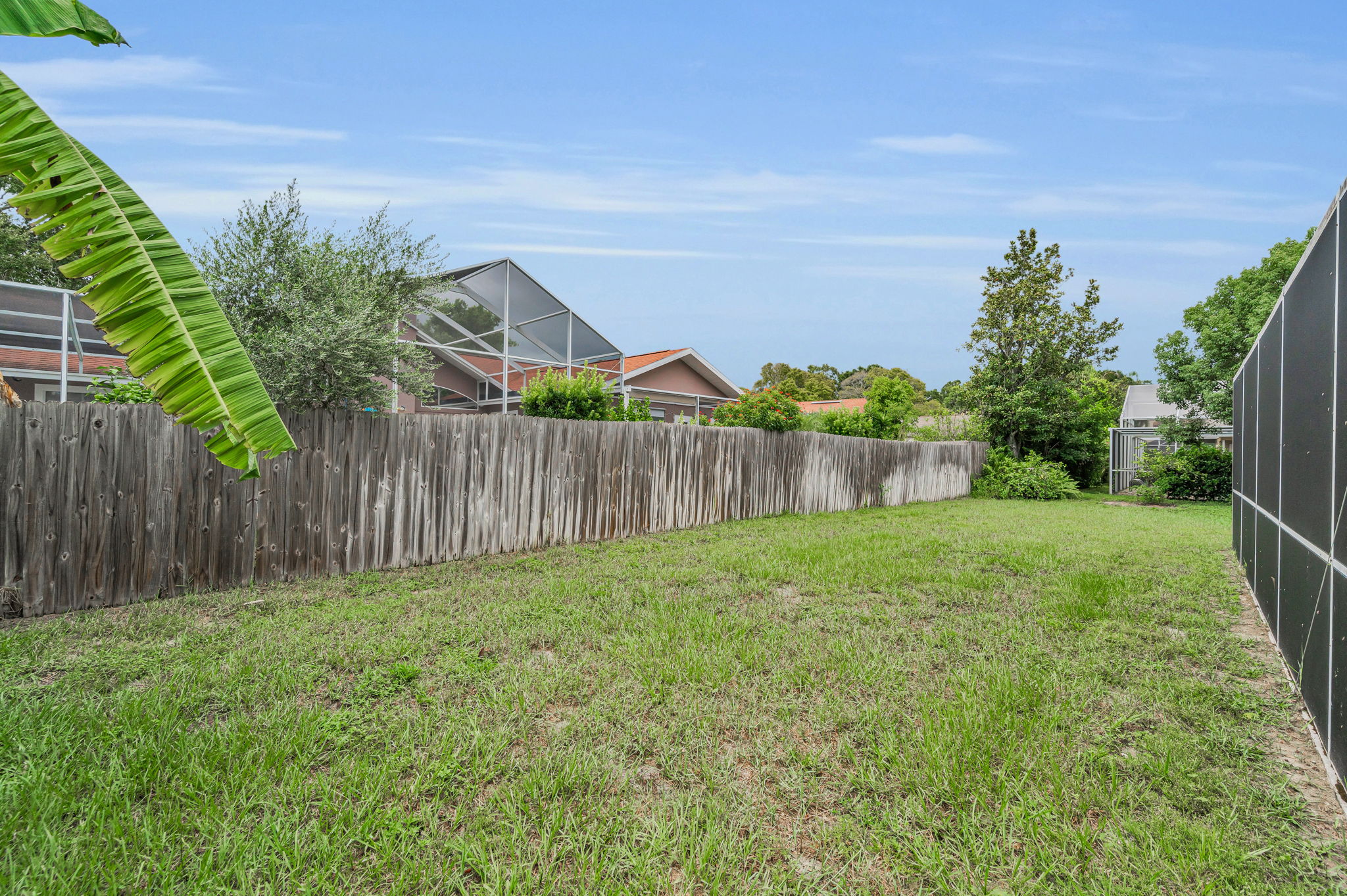 Backyard4