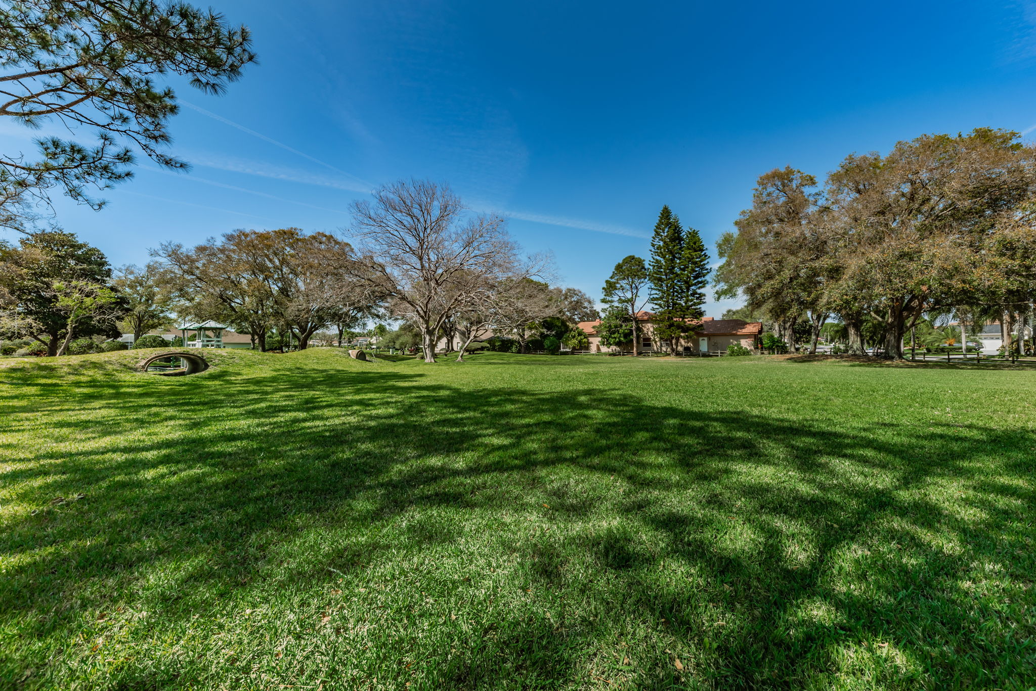 6-Community Park