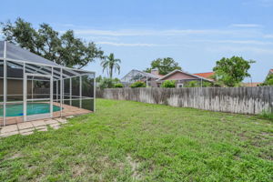 Backyard1