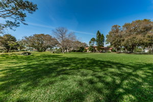 6-Community Park