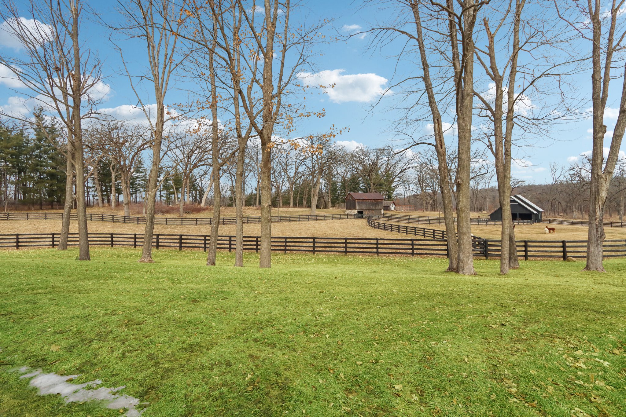 Lalor Road-S1802-037.jpg