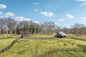 Lalor Road-S1802-058.jpg