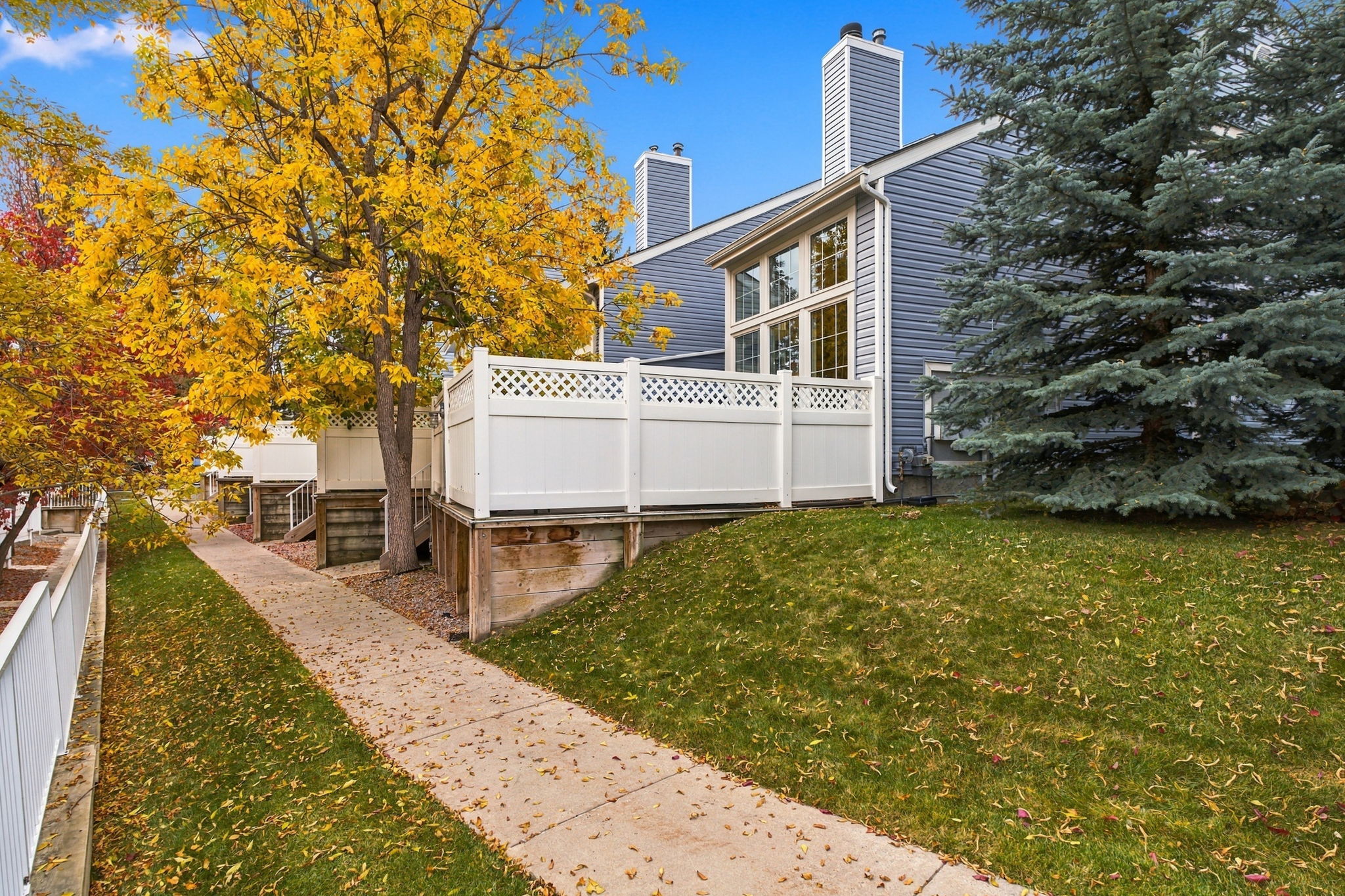  Photo 46