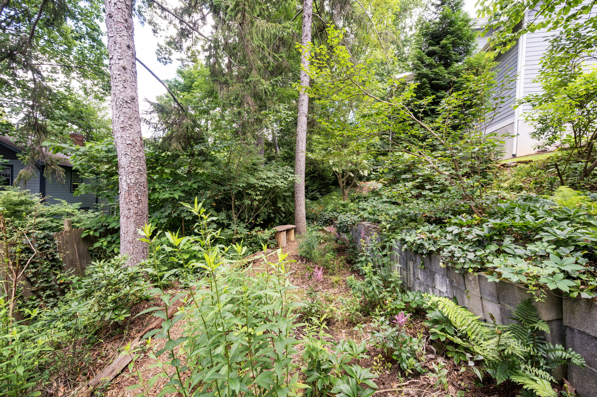  Photo 41