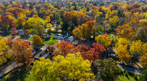 28 Chestnut St, Delaware-53