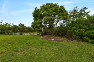 Picnic Area