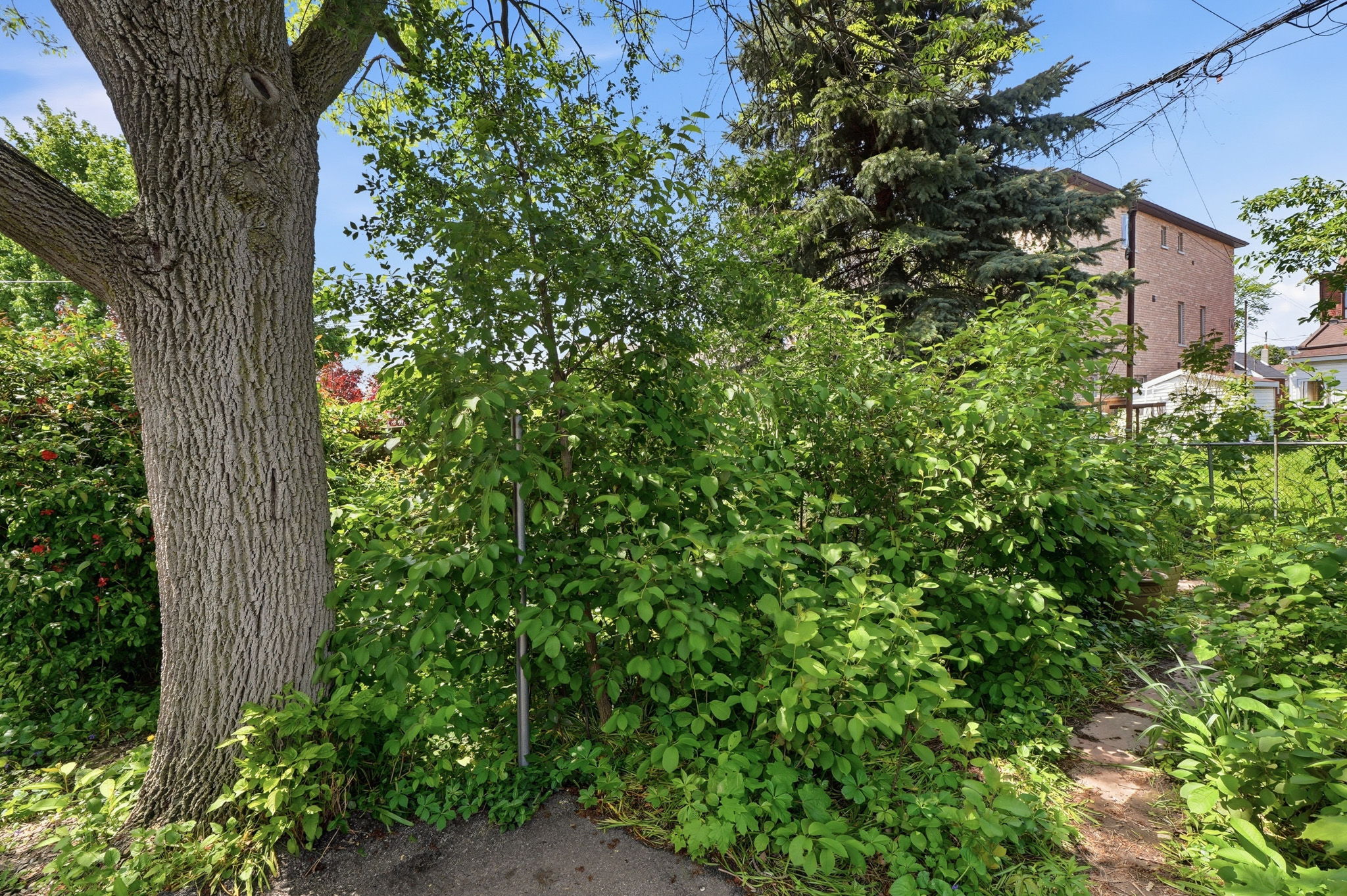 28 East Dr, York, ON M6N 2N7, Canada Photo 50
