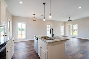 Kitchen View 3