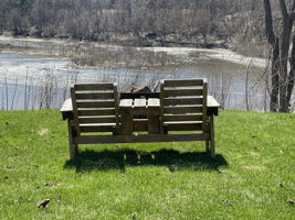  Photo 29