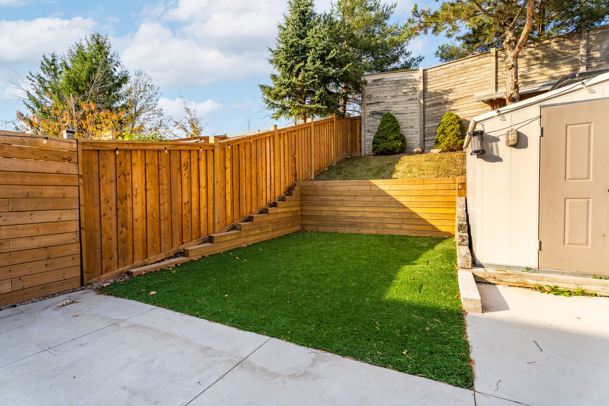 Backyard
