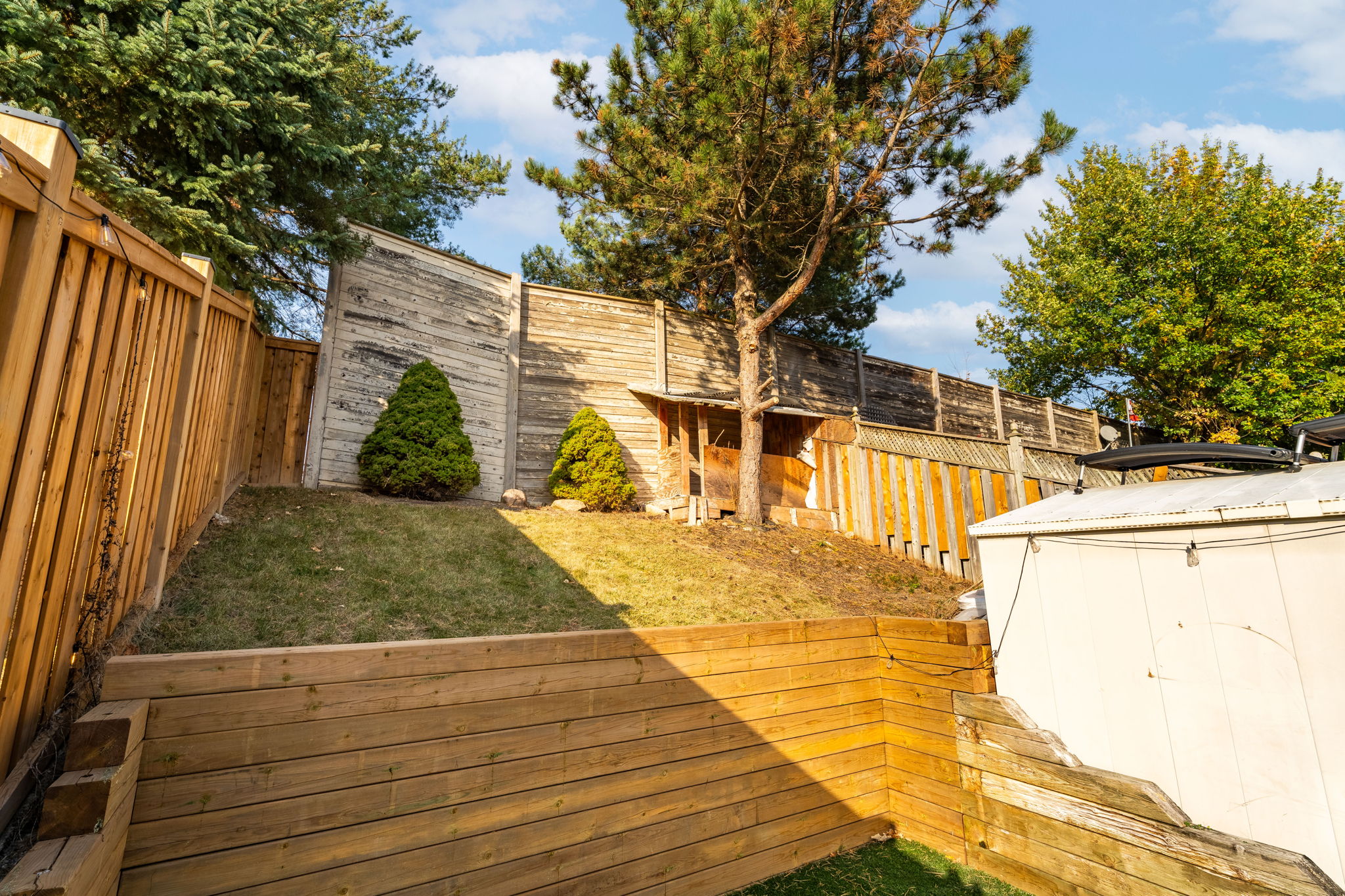 Backyard