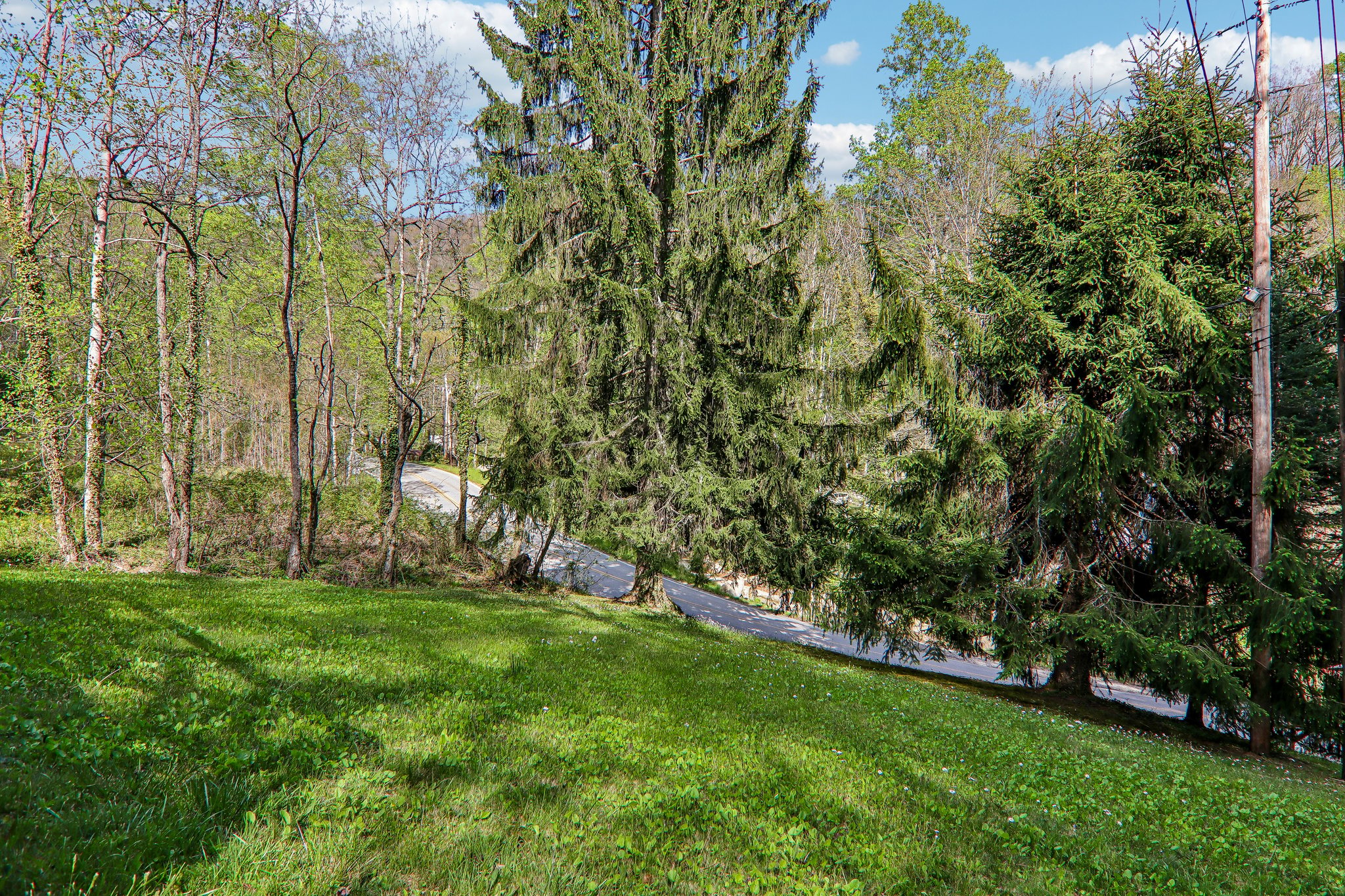 Mull Cove Rd-S2304-046.jpg