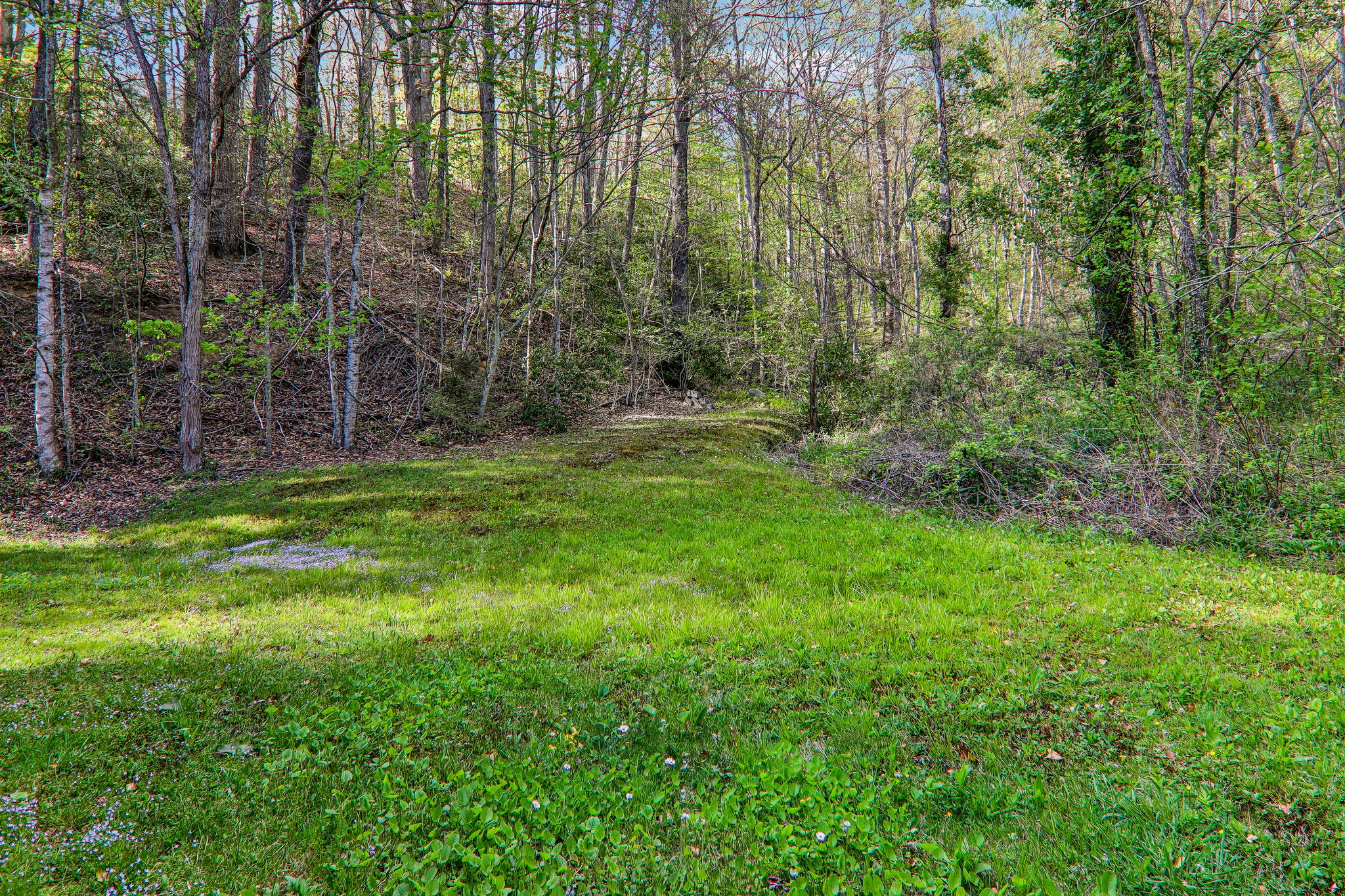 Mull Cove Rd-S2304-050.jpg