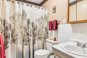 Mull Cove Rd-S2304-032.jpg