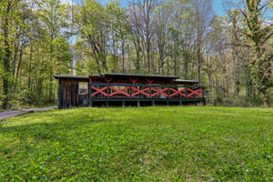 Mull Cove Rd-S2304-047.jpg
