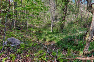 Mull Cove Rd-S2304-051.jpg