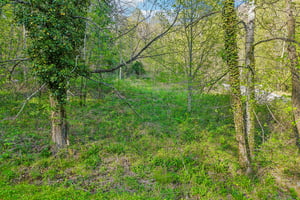 Mull Cove Rd-S2304-062.jpg