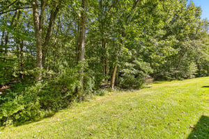 IMG_9633.jpg