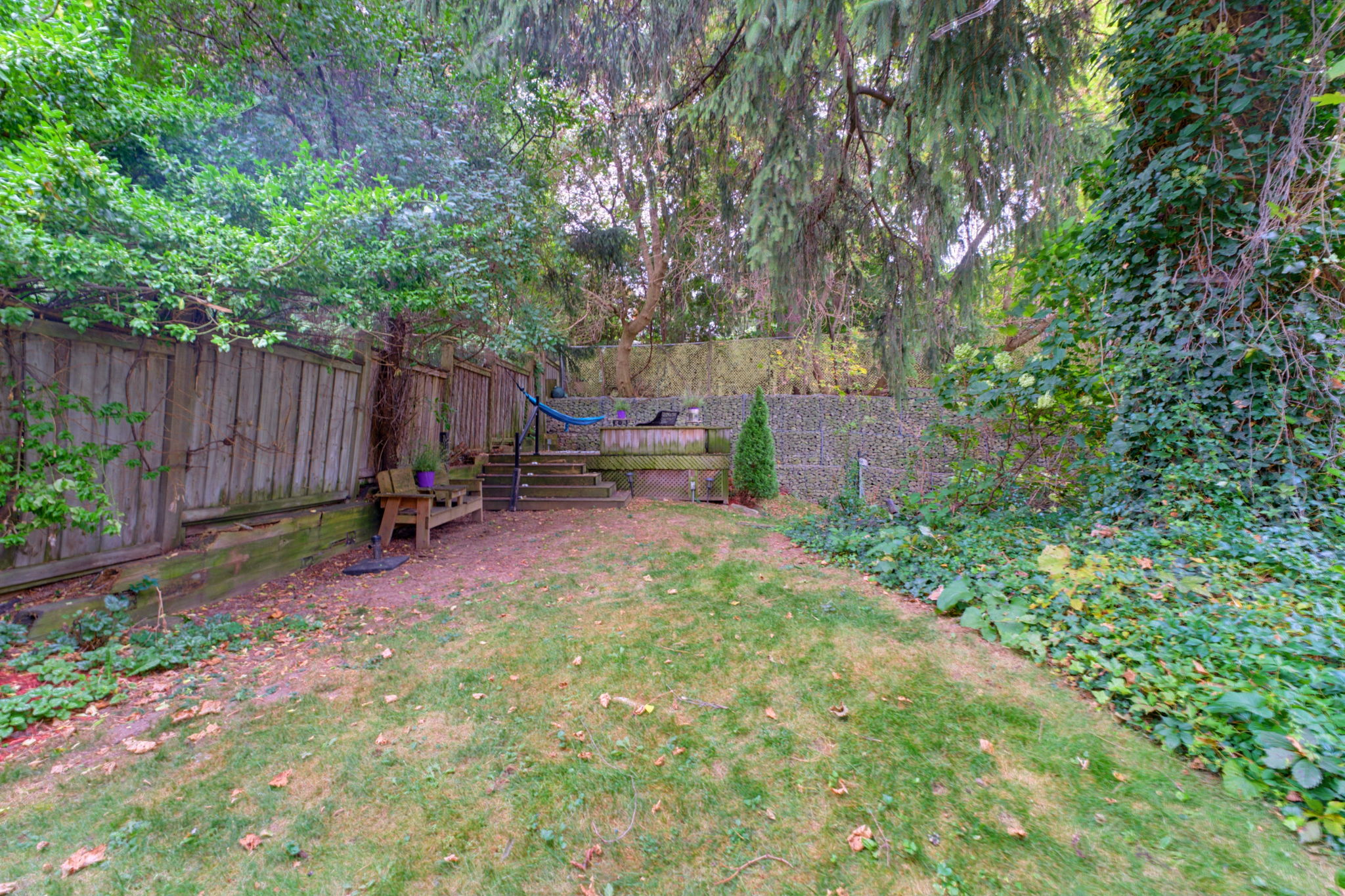  Photo 47