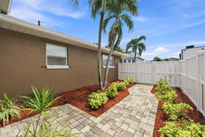 Backyard1